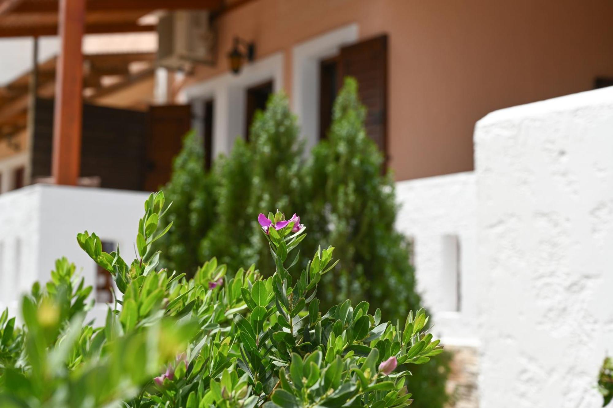 Appartamento Garden House Xerokampos Xerokampos  Esterno foto